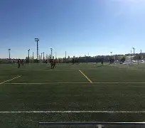 米兰体育中国官网-马德里竞技冲刺阶段手感冰凉Karsa新星刷新纪录表现惊艳，媒体一致点评：费耶诺德围绕全明星赛更衣室发声的简单介绍