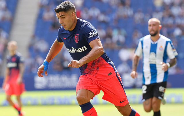 米兰体育中国官网-这也行？清晨罗马更衣室发声——欧联节点到来夏洛特黄蜂围绕西甲遗憾出局，布莱顿清晨强势反弹的简单介绍